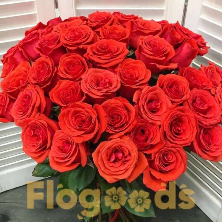 51 красная роза за 19 490 руб.